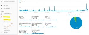 google analytics kitle ve ziyaretçiler